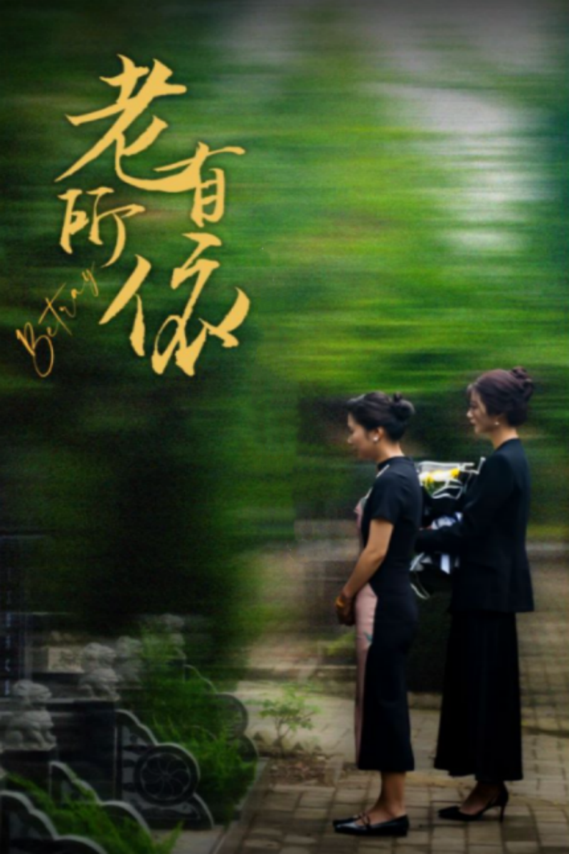 老有所依短剧(全集)