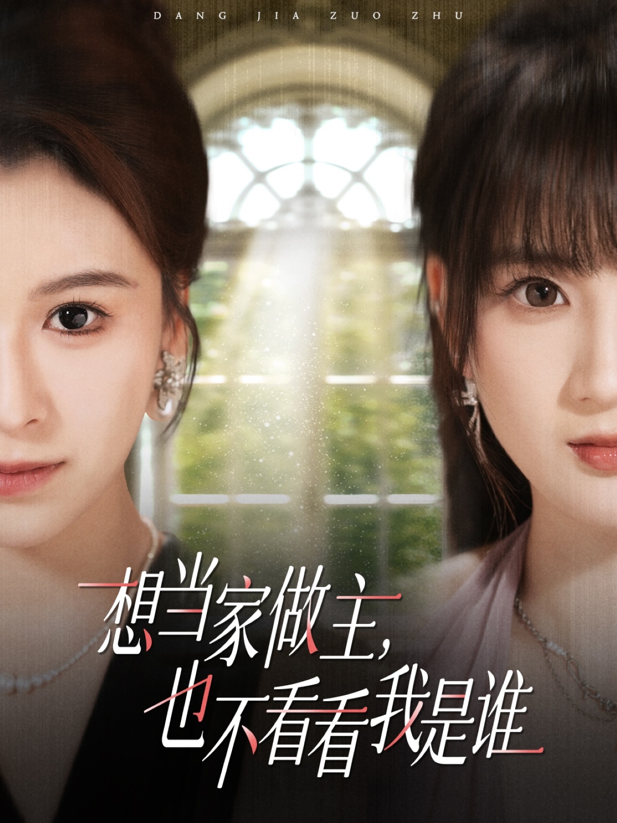 想当家做主，也不看看我是谁(全集)