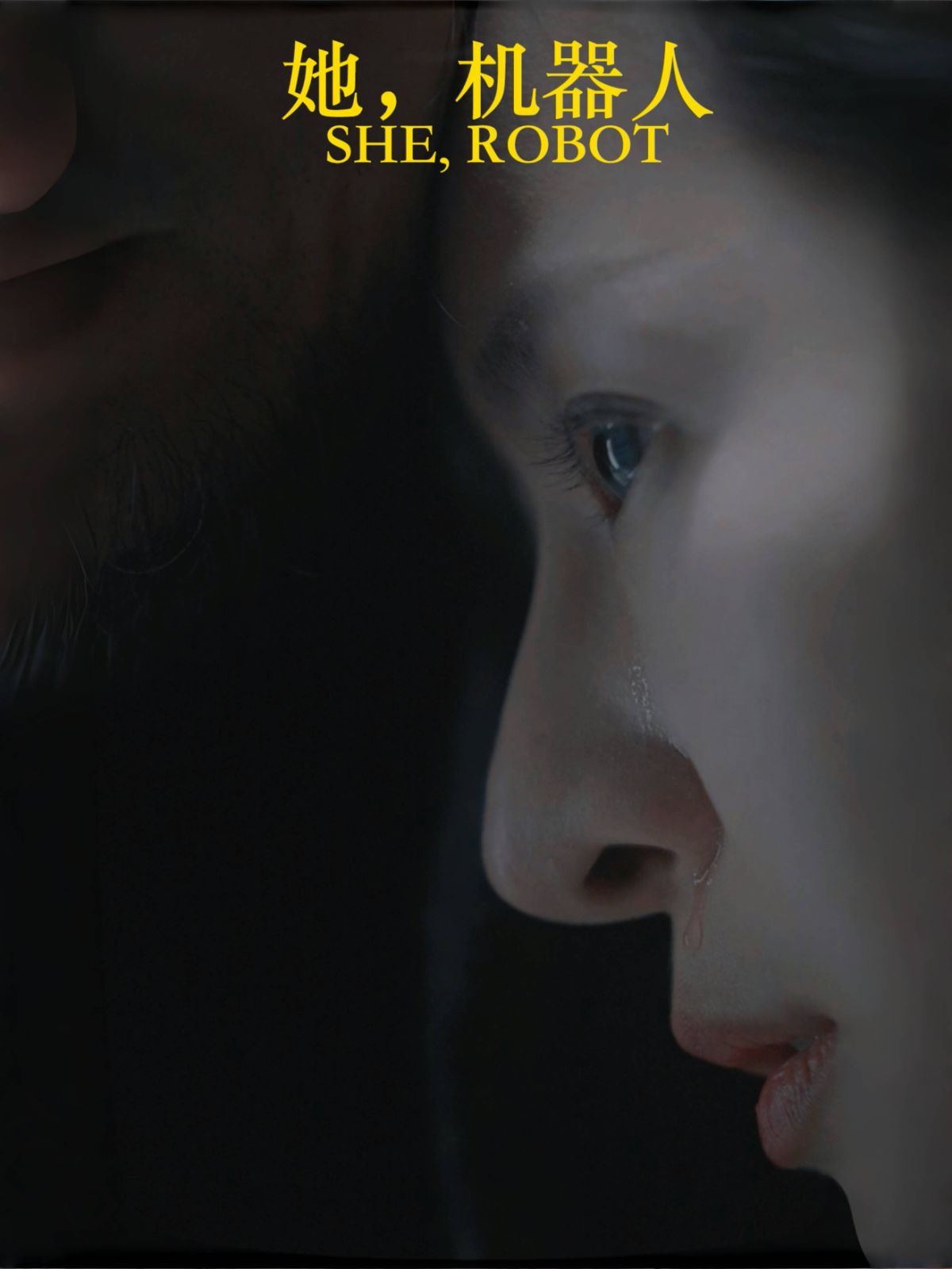 她，机器人（她机器人）(全集)